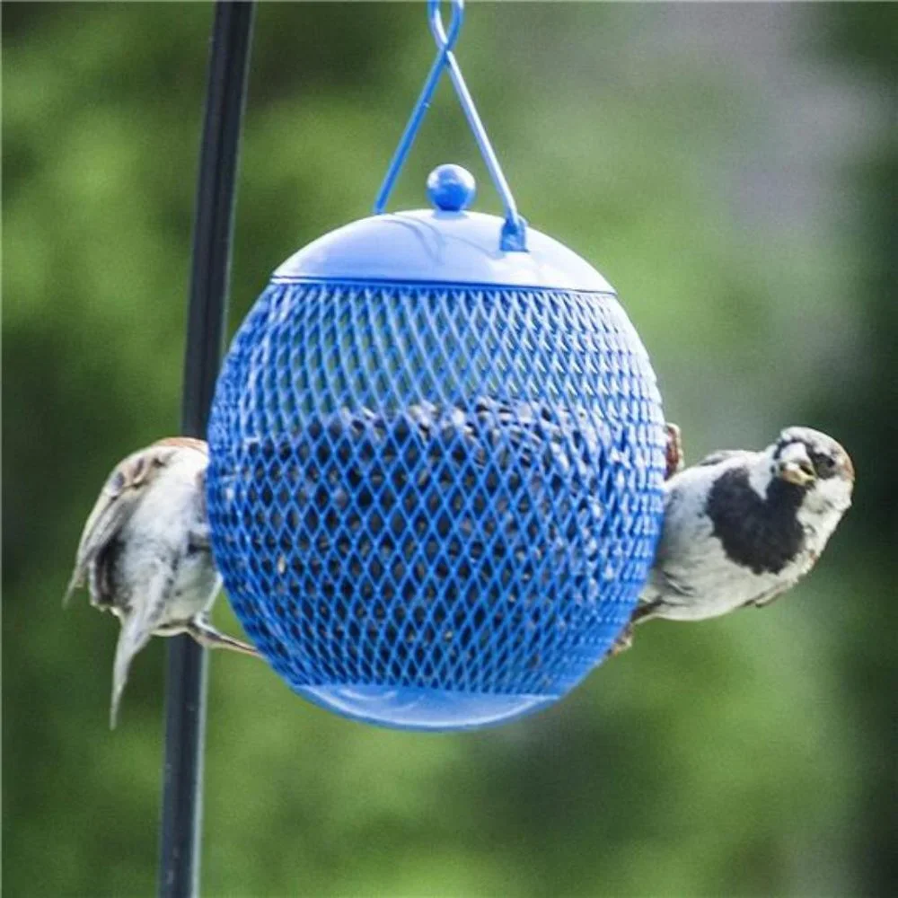 Set of 3 Squirrel Proof Bird Feeders for Outside - Bonus Ebook & Bird Attraction